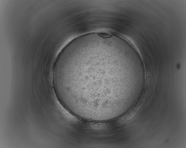 X0000089460851200707061301