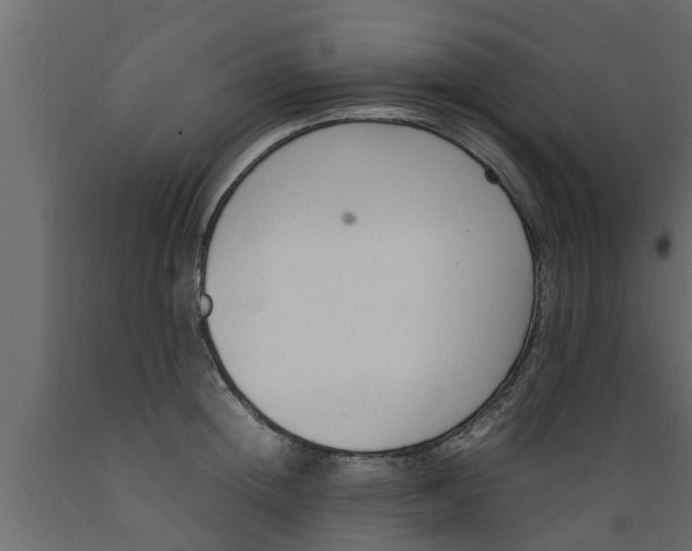 X0000089460852200707061301