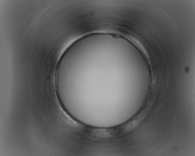 X0000089460855200707061301