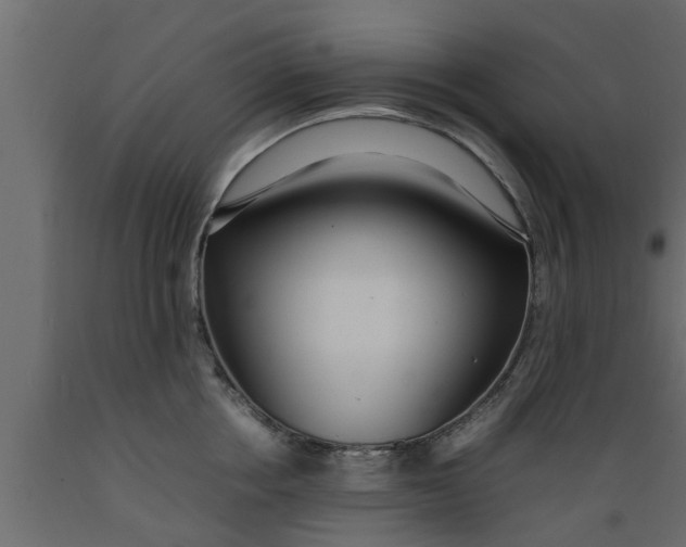 X0000089460858200707061301