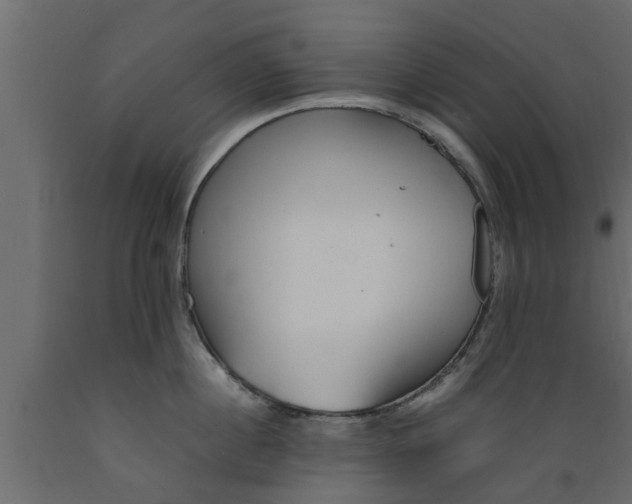 X0000089460860200707061301