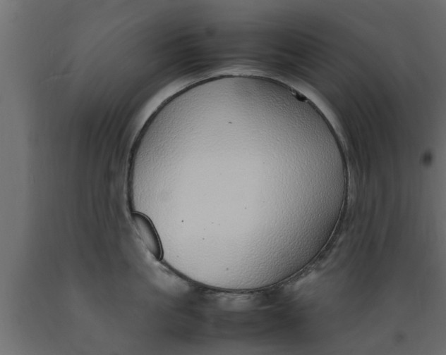 X0000089460861200707061301