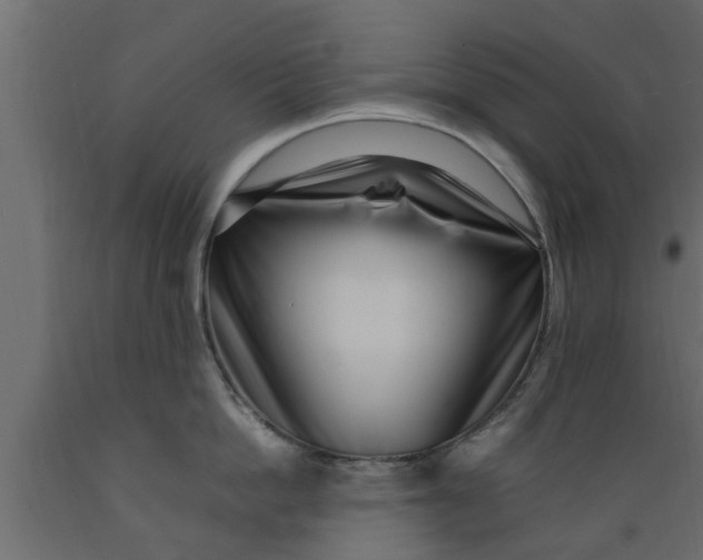 X0000089460862200707061301