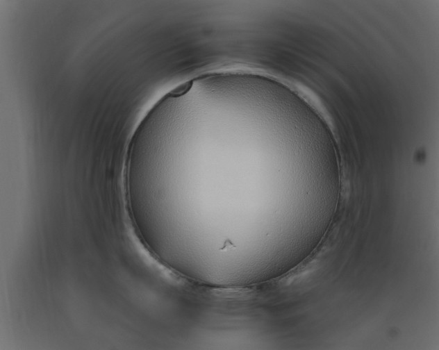 X0000089460863200707061301