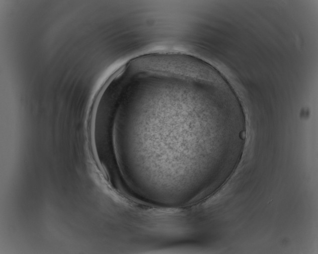 X0000089460864200707061301