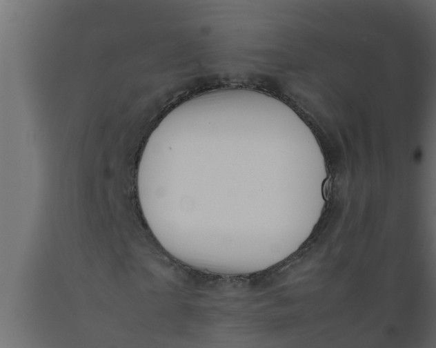 X0000089460865200707061301