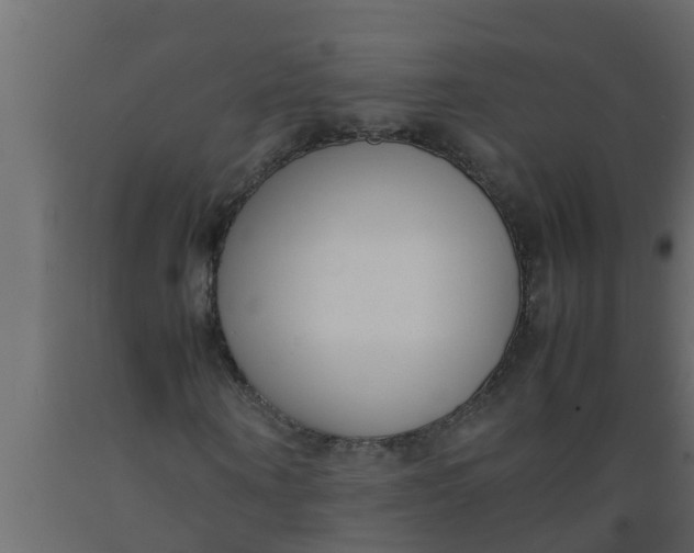 X0000089460866200707061301