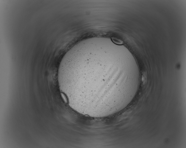 X0000089460867200707061301