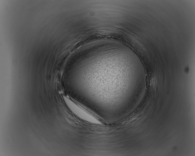 X0000089460868200707061301