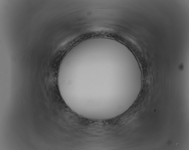 X0000089460869200707061301