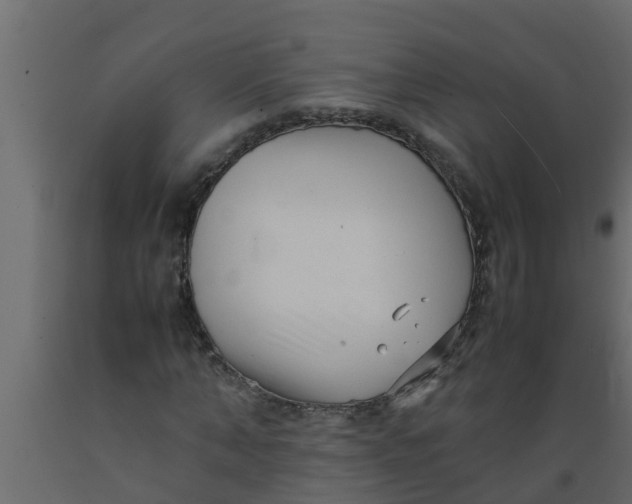 X0000089460870200707061301