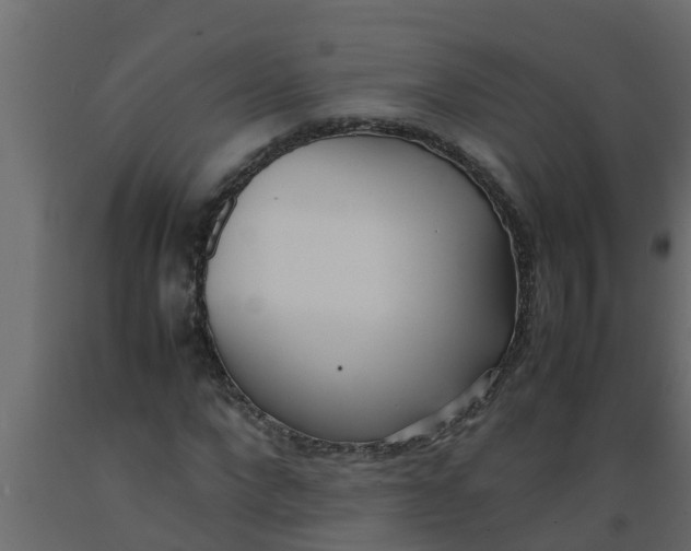 X0000089460872200707061301