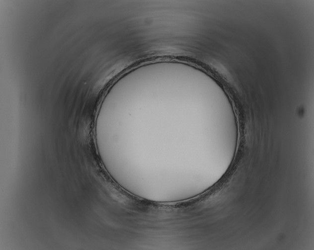 X0000089460873200707061301