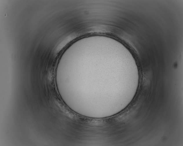 X0000089460874200707061301