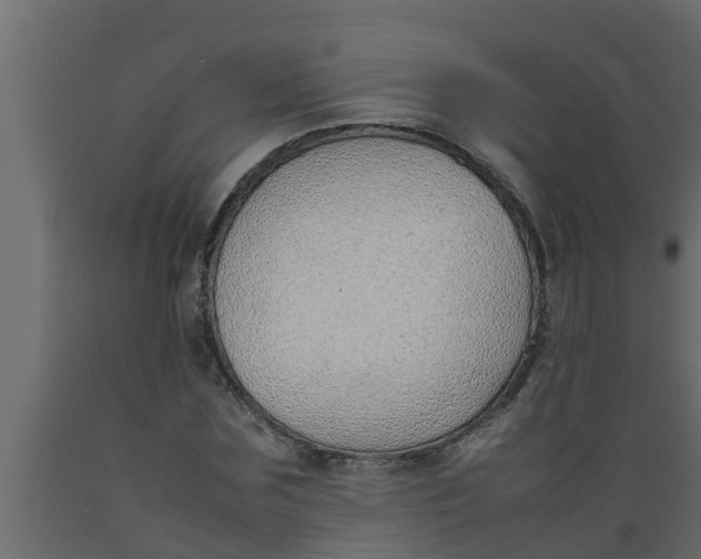 X0000089460875200707061301