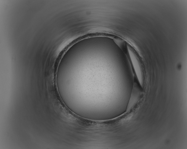 X0000089460877200707061301