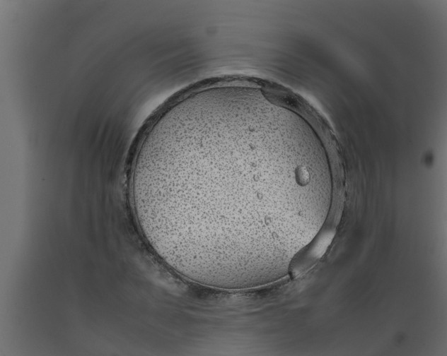 X0000089460879200707061301