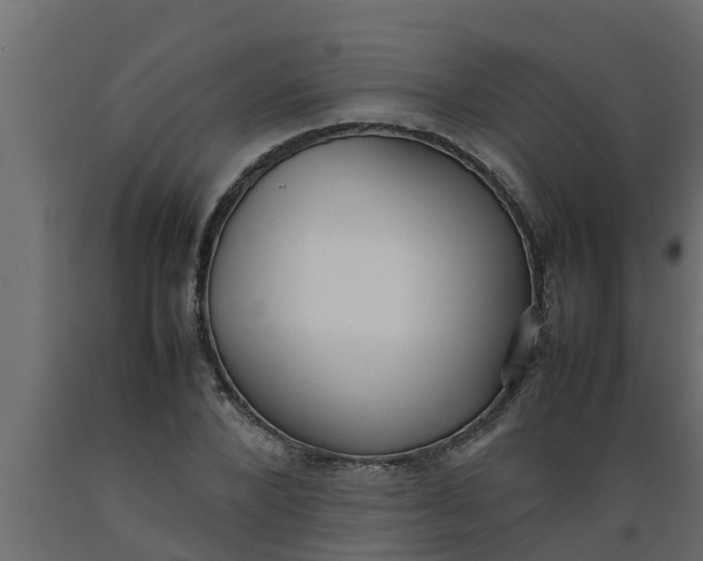 X0000089460880200707061301