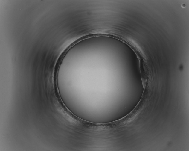 X0000089460884200707061301