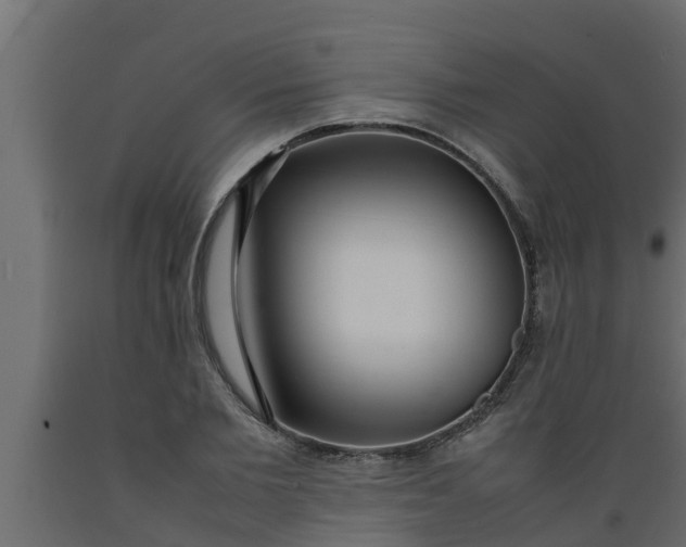 X0000089460885200707061301