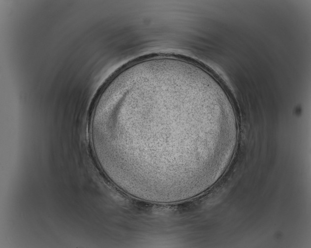 X0000089460887200707061300