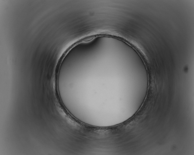 X0000089460888200707061300