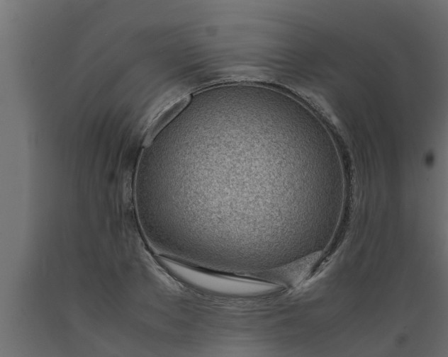X0000089460889200707061300