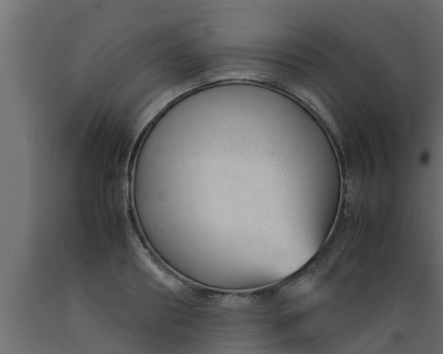 X0000089460890200707061300