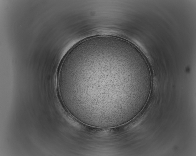 X0000089460891200707061300