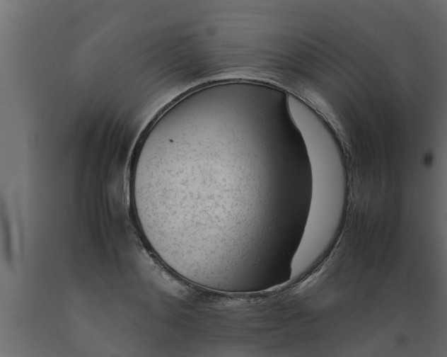 X0000089460892200707061300