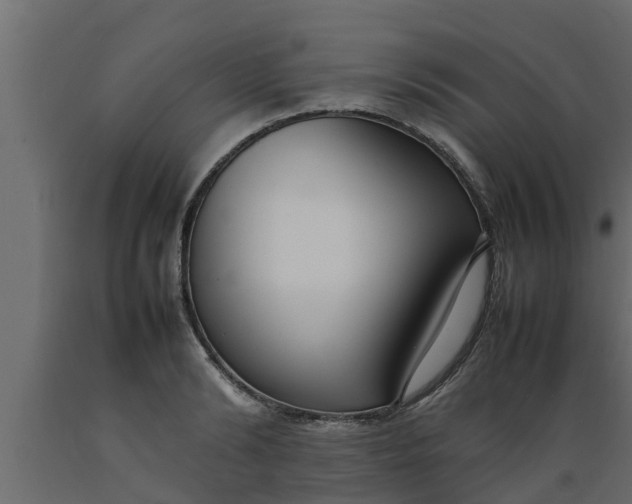 X0000089460894200707061300