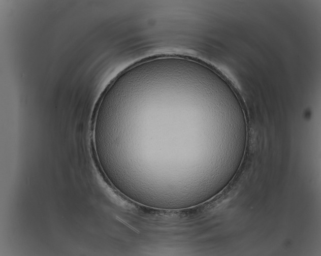X0000089460895200707061300