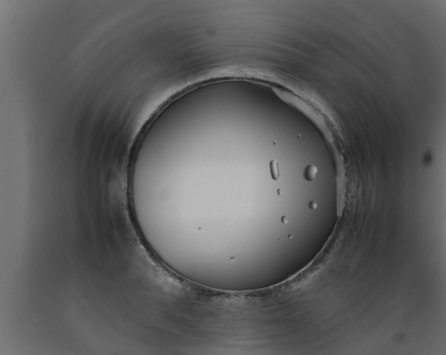 X0000089460896200707061300