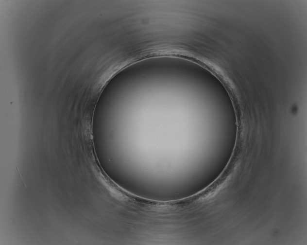 X0000089460897200707061300