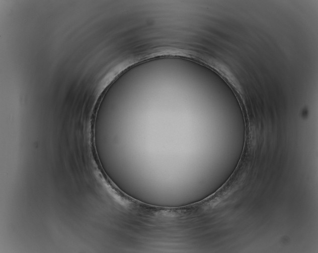 X0000089460898200707061300