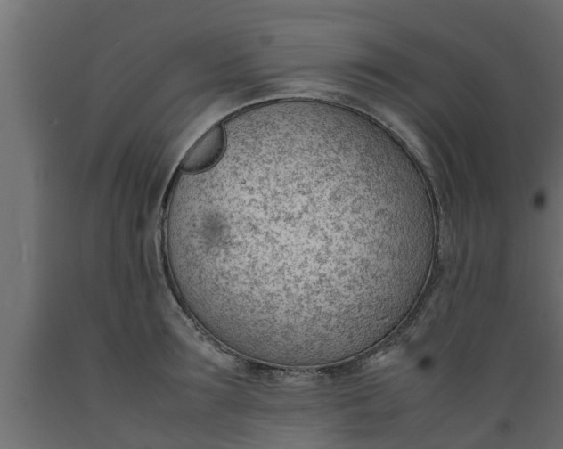 X0000089460899200707061300