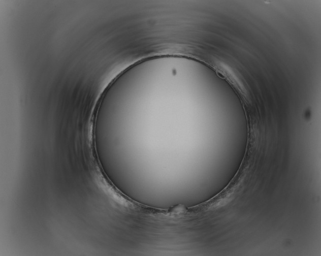 X0000089460900200707061300