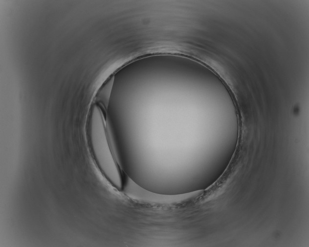 X0000089460901200707061300
