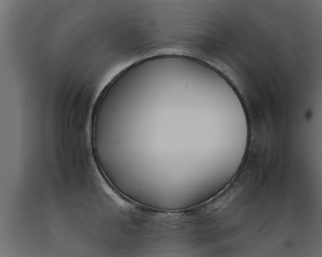 X0000089460902200707061300