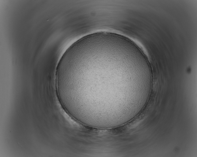 X0000089460903200707061300