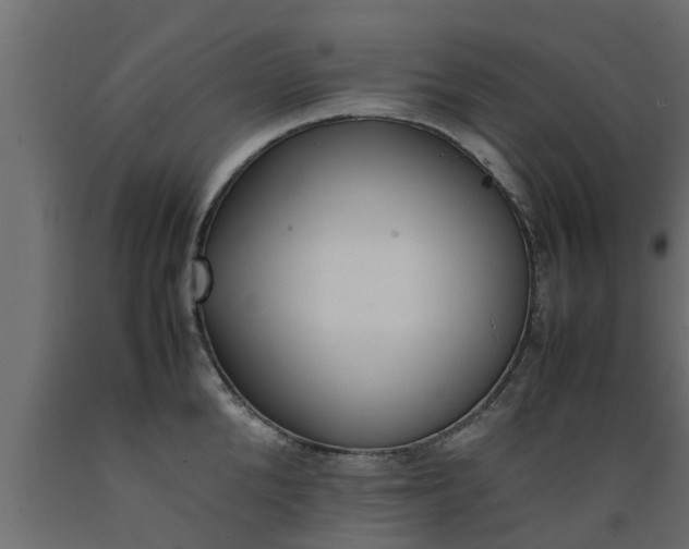 X0000089460904200707061300