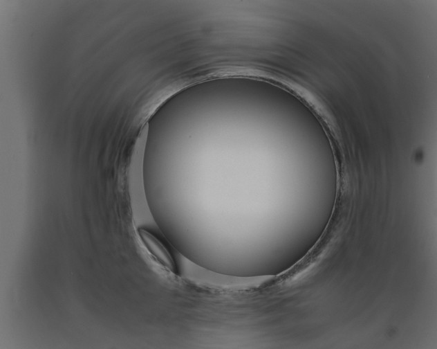 X0000089460905200707061300