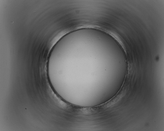 X0000089460906200707061300