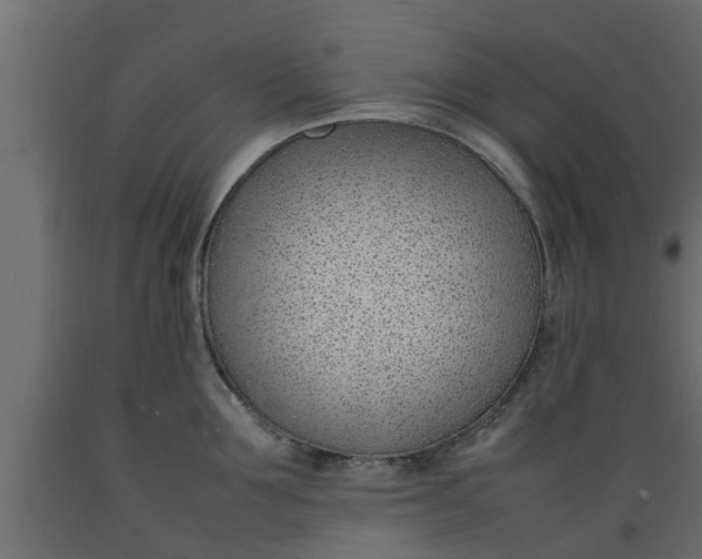 X0000089460907200707061300
