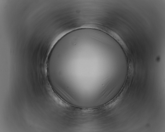 X0000089460908200707061300