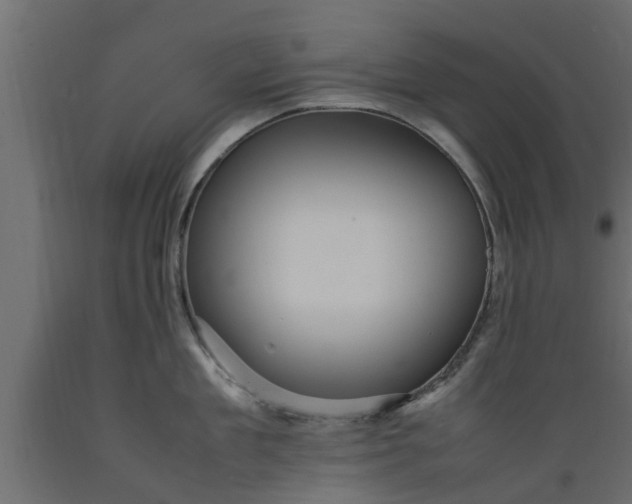 X0000089460909200707061300