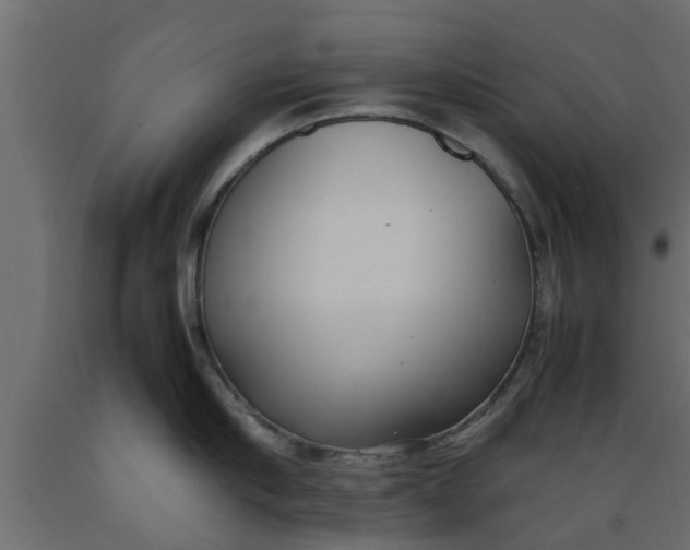 X0000089460910200707061300