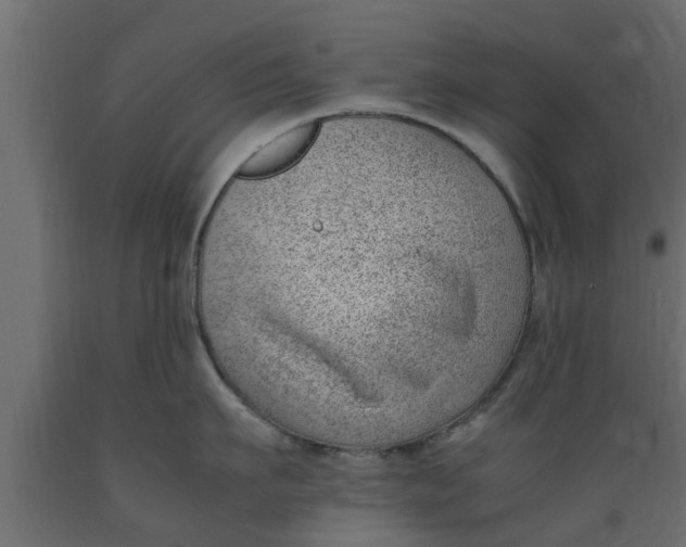 X0000089460911200707061300