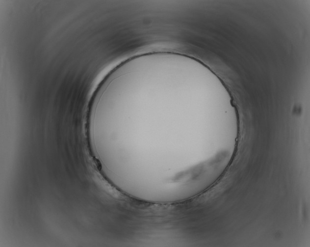 X0000089460912200707061300