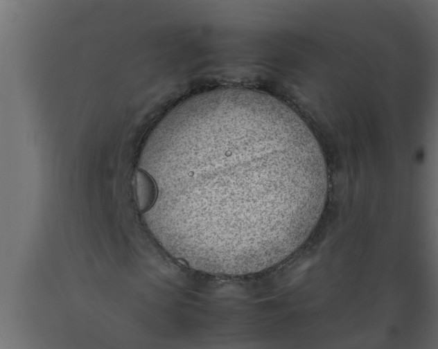 X0000089460913200707061259